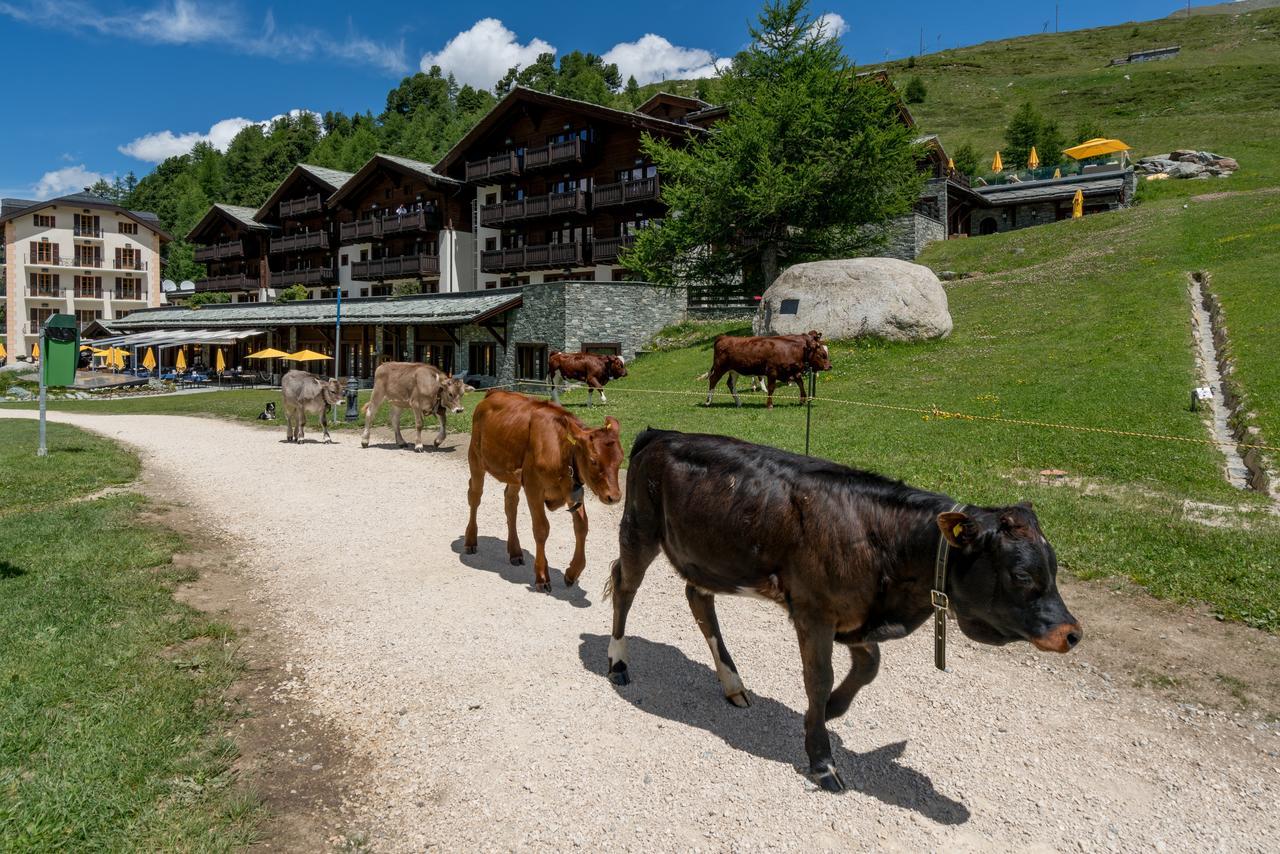 Riffelalp Resort 2222M 采尔马特 外观 照片